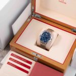 Omega Seamaster 21030422003001 2021