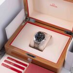 Omega seamaster