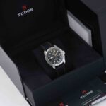 Tudor black bay pro