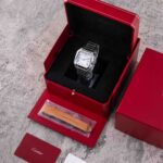 Cartier santos
