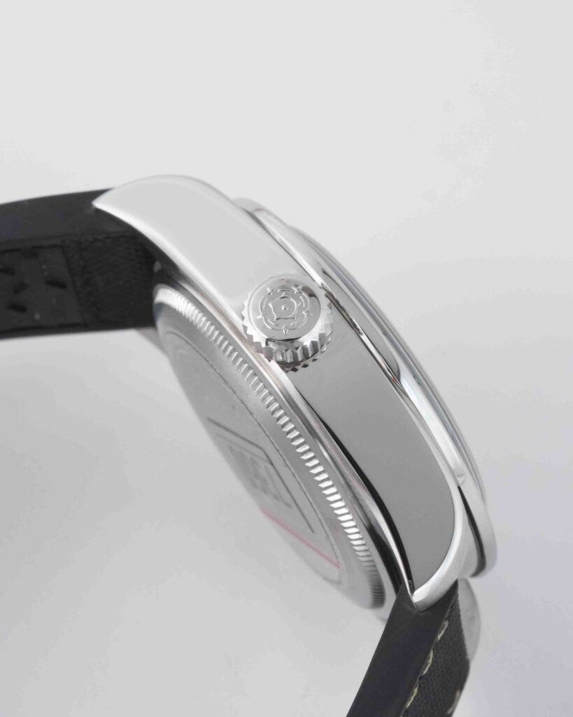 Tudor black bay pro