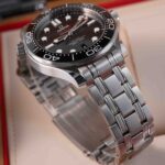 Omega seamaster