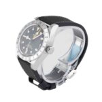 Tudor black bay pro
