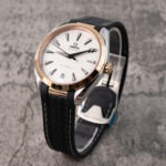 Omega Aqua Terra 220.22.41.21.02.001 2023