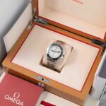 Omega Seamaster Diver 300M 210.30.42.20.04.001 2022