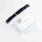 Cartier Santos Dumont WSSA0023 2023