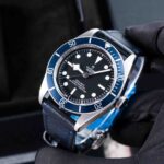 Tudor Black Bay 79230B 2024