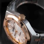 Audemars Piguet Royal Oak 15450SR.OO.1256SR.01