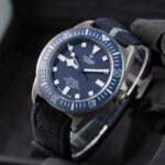 Tudor Pelagos 25707B/22 2022