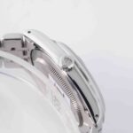Tudor Prince Date 74000 2006