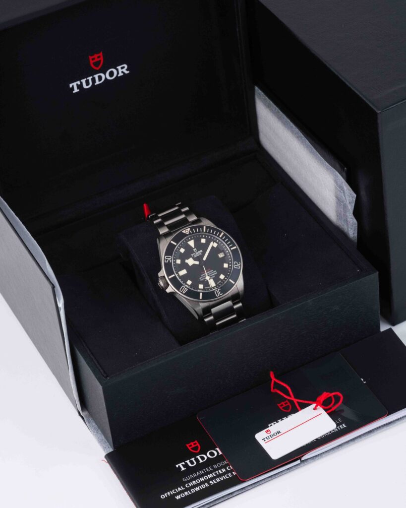 Tudor Pelagos 25610TNL 2024