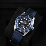 Tudor Black Bay 79230B 2024