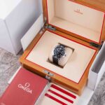 Omega Seamaster 21032422001001 2020