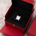 Cartier Tank Must WSTA0041 2022