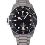 Tudor Pelagos 25610TNL 2024