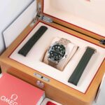 Omega Seamaster  210.30.42.20.01.001 2024