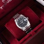 Tudor Prince Date 74000 2006