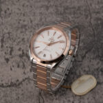 Omega Seamaster Aqua Terra  220.20.41.21.02.001 2023