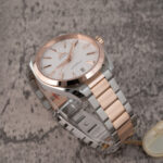 Omega Seamaster Aqua Terra  220.20.41.21.02.001 2023