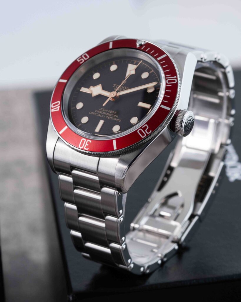 Tudor Black Bay 79230R 2022