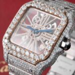 Cartier Santos De Cartier WHSA0015 2021