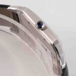 Cartier Santos WSSA0032 2023