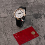 Omega Aqua Terra 220.22.41.21.02.001 2023