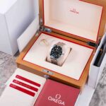 Omega Seamaster 21030422010001 2022