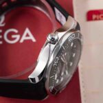 Omega Seamaster 21032422001001 2020