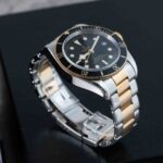 Tudor Black Bay S&g 79733N 2018
