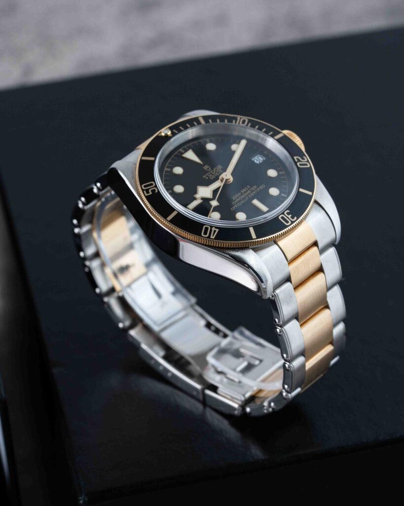 Tudor Black Bay S&g 79733N 2018