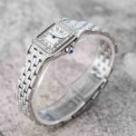 Cartier Panthere De Cartier WSPN0006