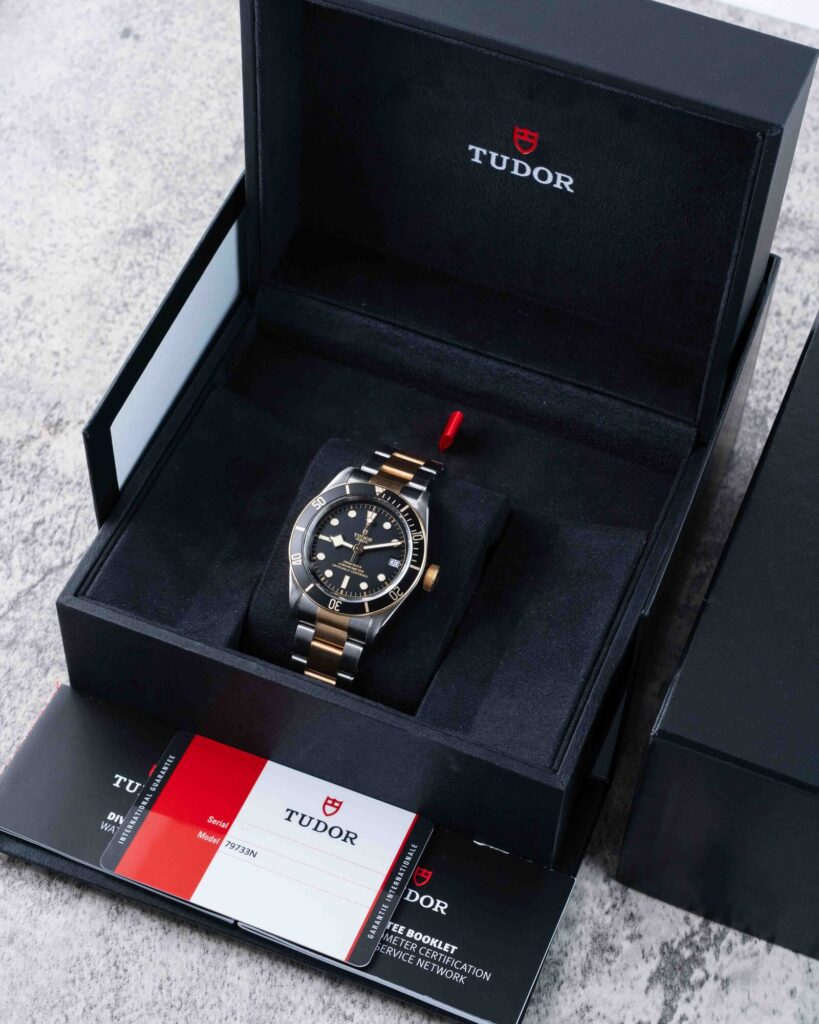 Tudor Black Bay S&g 79733N 2018