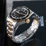 Tudor Black Bay S&g 79733N 2018