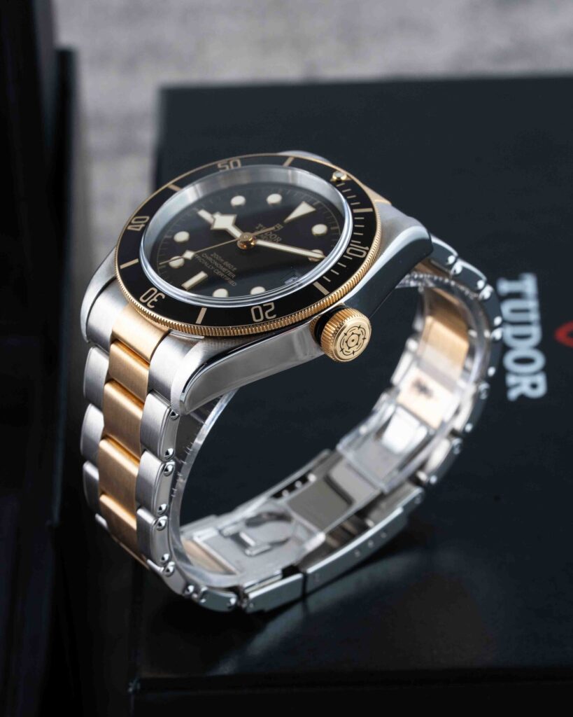 Tudor Black Bay S&g 79733N 2018