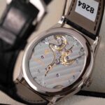 Patek Philippe Calatrava 6119G-001 2024
