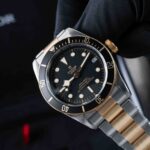 Tudor Black Bay S&g 79733N 2018