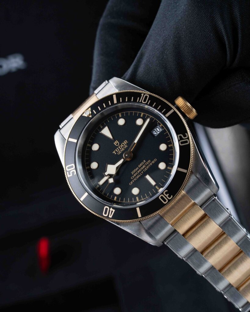 Tudor Black Bay S&g 79733N 2018
