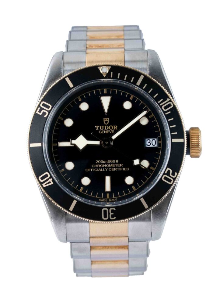 Tudor Black Bay S&g 79733N 2018