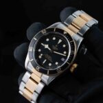 Tudor Black Bay S&g 79733N 2018