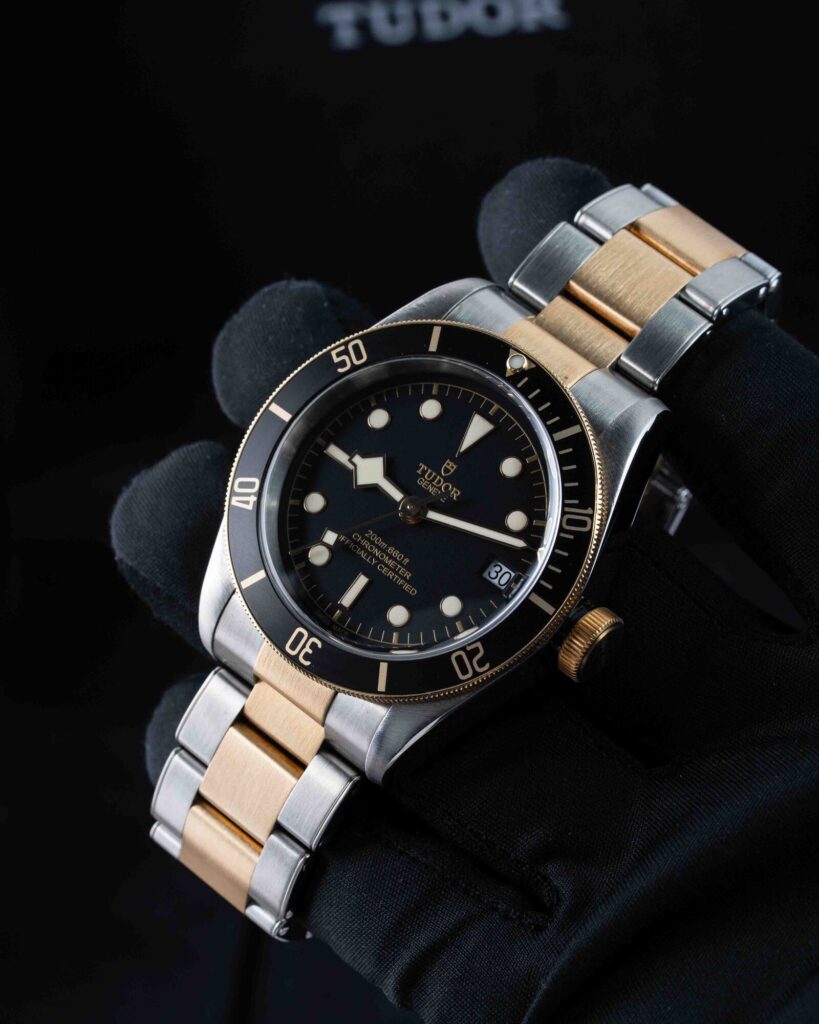Tudor Black Bay S&g 79733N 2018