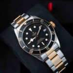 Tudor Black Bay S&g 79733N 2018