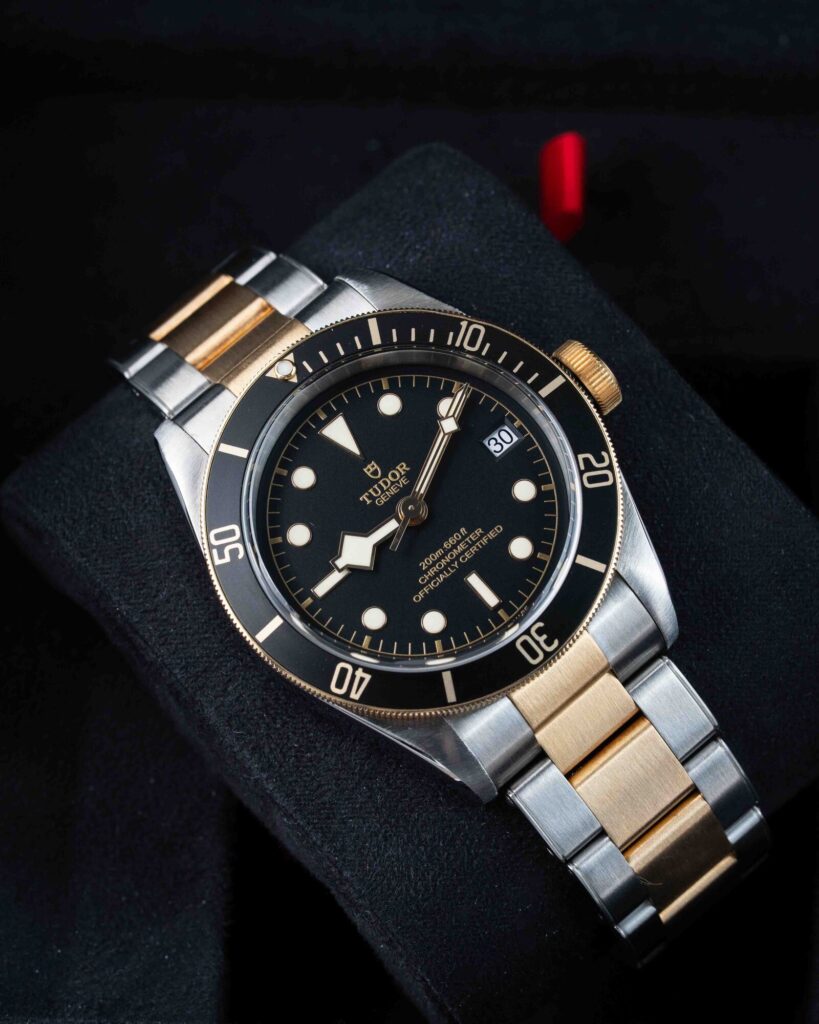 Tudor Black Bay S&g 79733N 2018