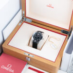 Omega Seamaster 21032422001001 2023