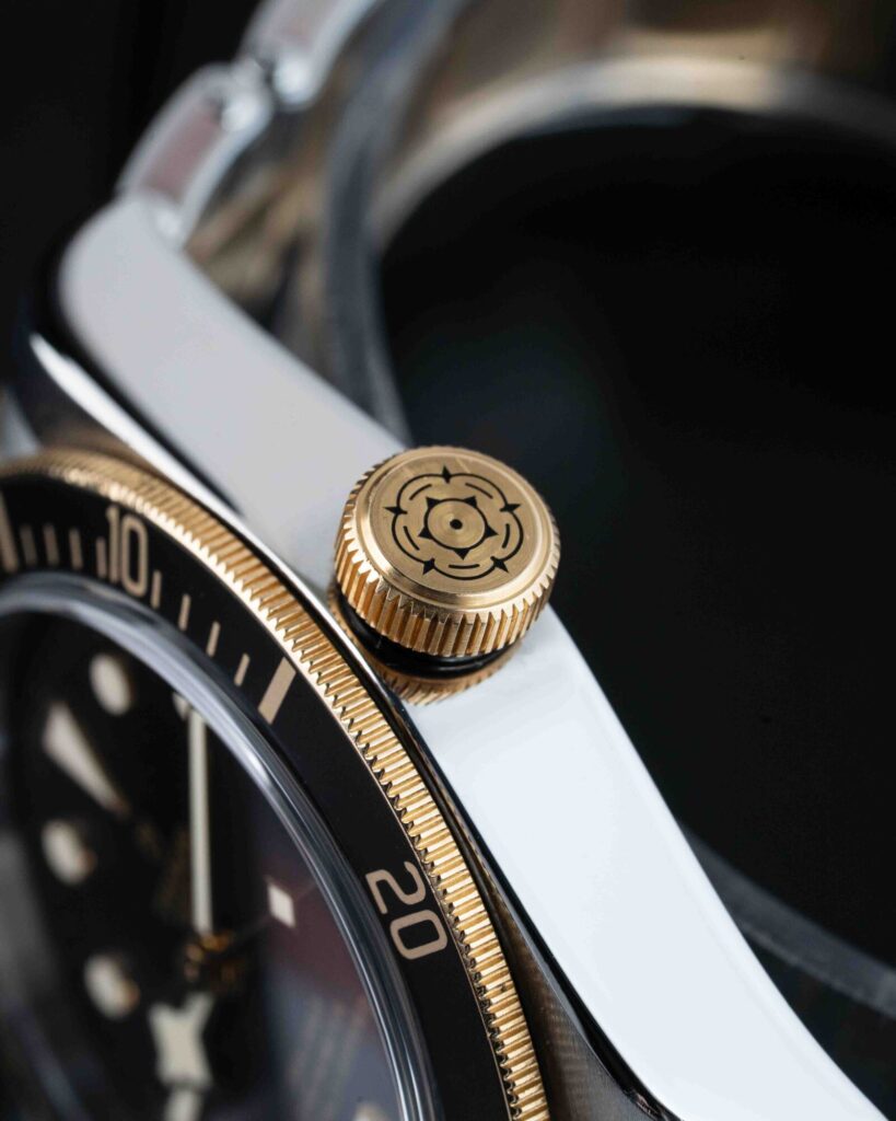 Tudor Black Bay S&g 79733N 2018