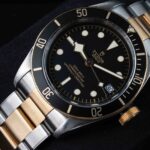 Tudor Black Bay S&g 79733N 2018