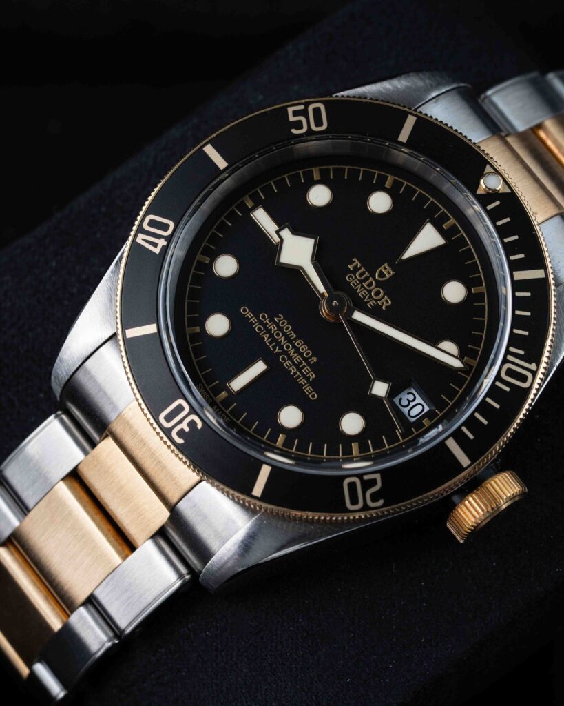 Tudor Black Bay S&g 79733N 2018