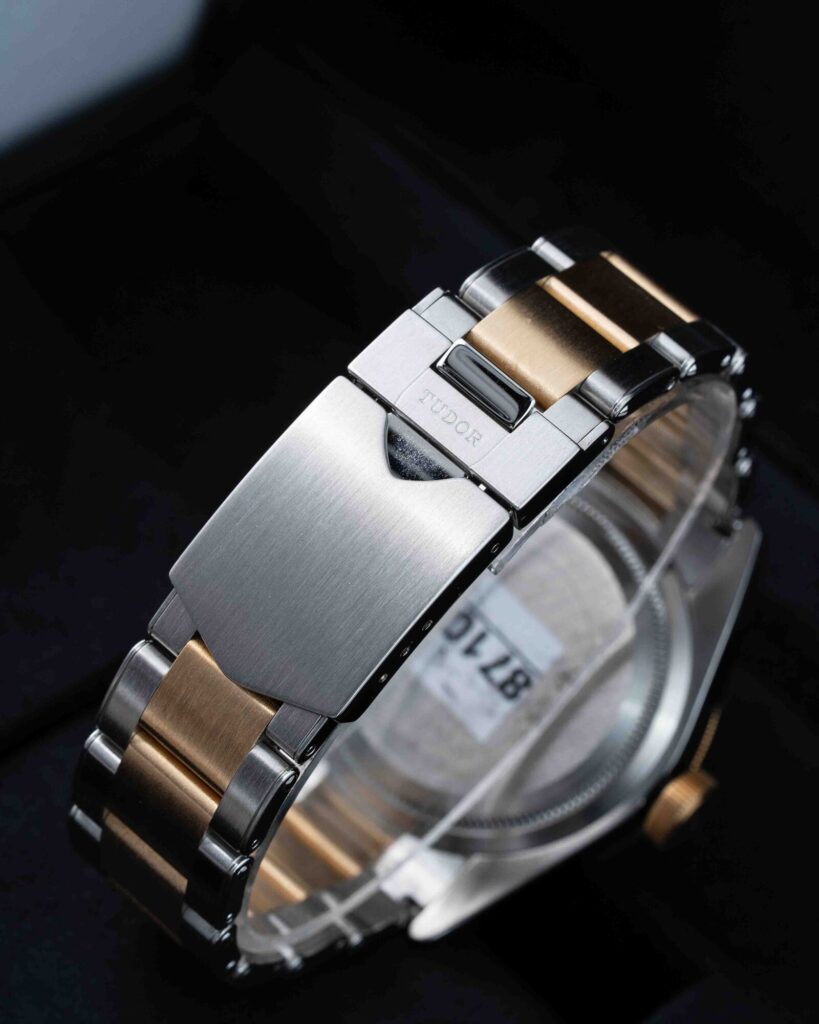 Tudor Black Bay S&g 79733N 2018