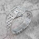 Cartier Panthere De Cartier WSPN007 2020