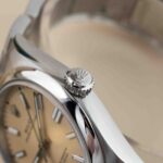 Rolex Oyster Perpetual 134300 2025